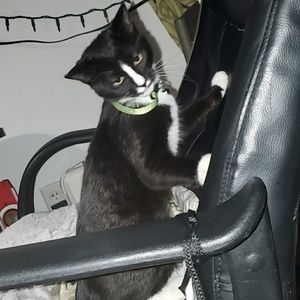 Meet your Posher, Kylee